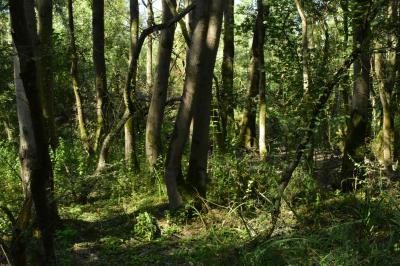 PROGETTO LIFE PARCO DEL DELTA