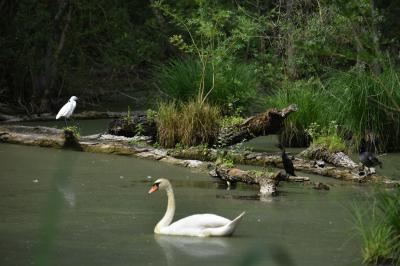 PROGETTO LIFE PARCO DEL DELTA