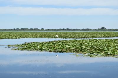 PROGETTO LIFE PARCO DEL DELTA