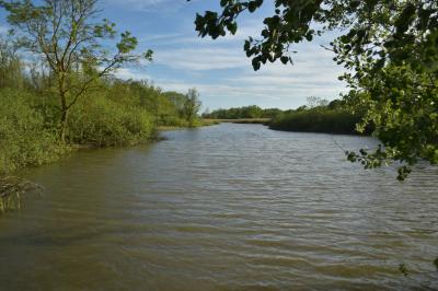 PROGETTO LIFE PARCO DEL DELTA