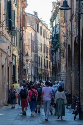 RIQUALIFICAZIONE VIA SAN ROMANO FERRARA