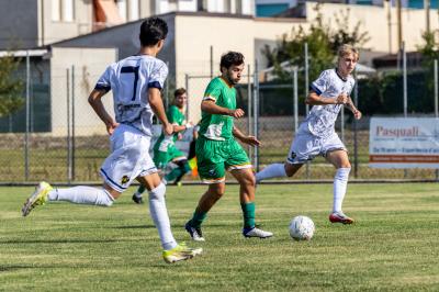 MASI TORELLO VOGHIERA - CENTESE
