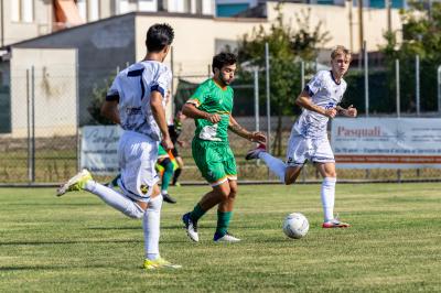 MASI TORELLO VOGHIERA - CENTESE