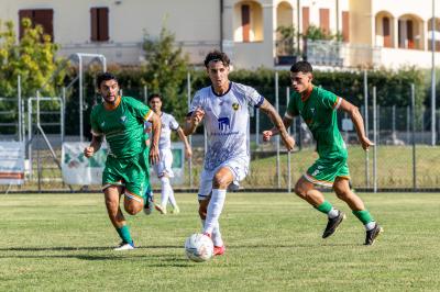 MASI TORELLO VOGHIERA - CENTESE