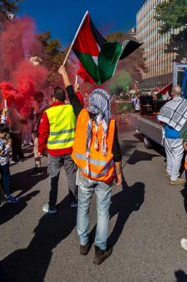 MANIFESTAZIONE PRO GAZA FERRARA