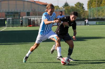 CASTENASO - SPAL ARS ET LABOR
