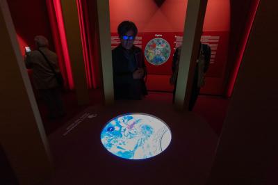 MOSTRA CHAGALL PALAZZO DIAMANTI FERRARA