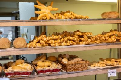 GIORNATA MONDIALE DEL PANE FERRARA