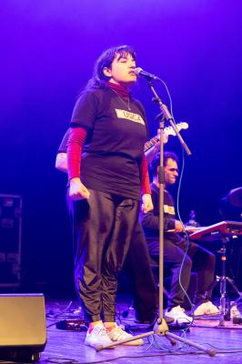 CONCERTO ELIO E LE STORIE TESE FERRARA