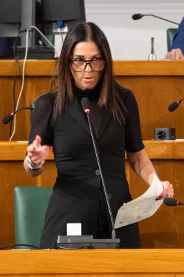 CONSIGLIO COMUNALE FERRARA