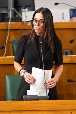 CONSIGLIO COMUNALE FERRARA