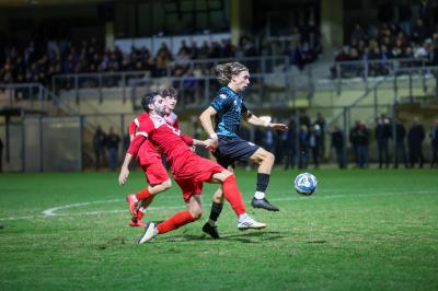 SOLAROLO - SPAL ARS ET LABOR