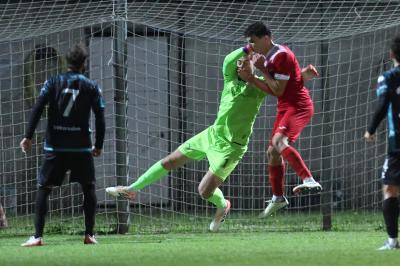 SOLAROLO - SPAL ARS ET LABOR