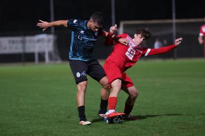 SOLAROLO - SPAL ARS ET LABOR