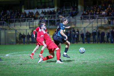 SOLAROLO - SPAL ARS ET LABOR