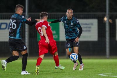 SOLAROLO - SPAL ARS ET LABOR