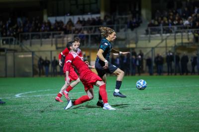 SOLAROLO - SPAL ARS ET LABOR