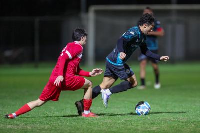 SOLAROLO - SPAL ARS ET LABOR