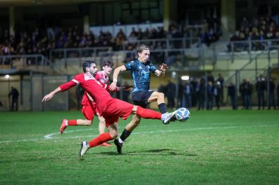 SOLAROLO - SPAL ARS ET LABOR