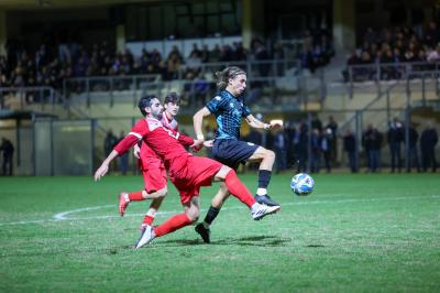 SOLAROLO - SPAL ARS ET LABOR