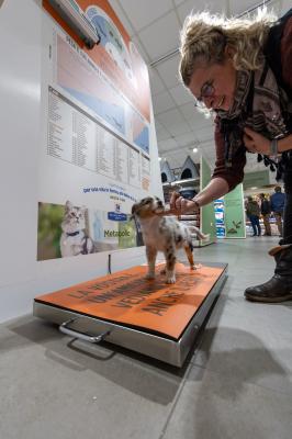 INAUGURAZIONE PET STORE CONAD CERVIGNANO