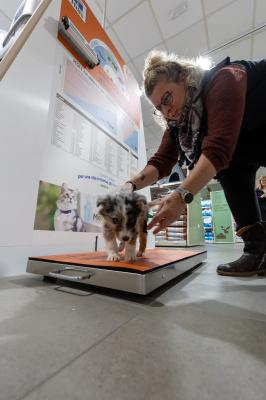 INAUGURAZIONE PET STORE CONAD CERVIGNANO