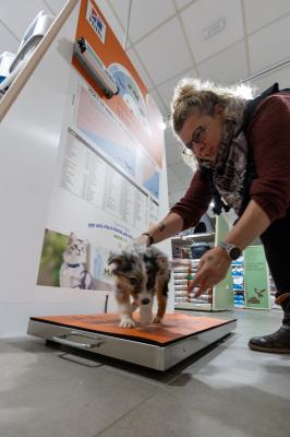 INAUGURAZIONE PET STORE CONAD CERVIGNANO