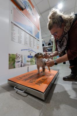 INAUGURAZIONE PET STORE CONAD CERVIGNANO
