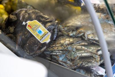 FERRARA FOOD FESTIVAL 2025