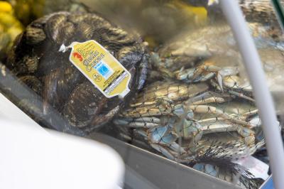 FERRARA FOOD FESTIVAL 2025