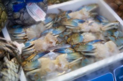 FERRARA FOOD FESTIVAL 2025