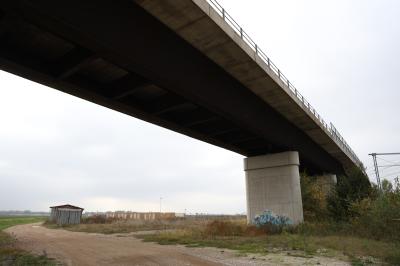 CAVALCAVIA CISPADANA AMMALORATO