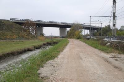 CAVALCAVIA CISPADANA AMMALORATO