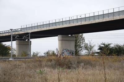 CAVALCAVIA CISPADANA AMMALORATO
