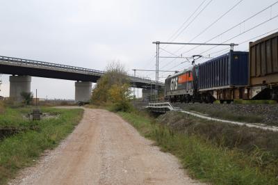 CAVALCAVIA CISPADANA AMMALORATO