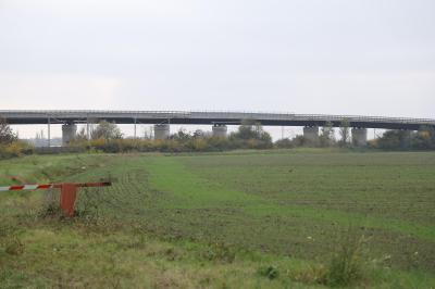 CAVALCAVIA CISPADANA AMMALORATO