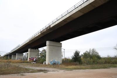 CAVALCAVIA CISPADANA AMMALORATO