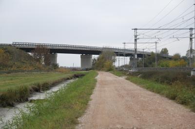 CAVALCAVIA CISPADANA AMMALORATO
