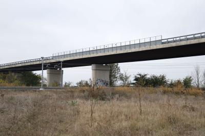 CAVALCAVIA CISPADANA AMMALORATO