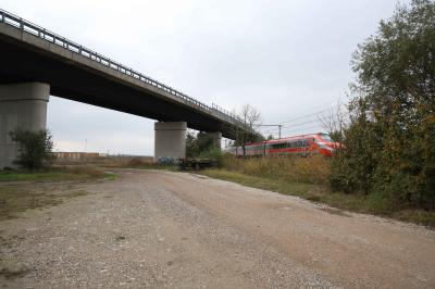 CAVALCAVIA CISPADANA AMMALORATO