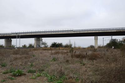 CAVALCAVIA CISPADANA AMMALORATO