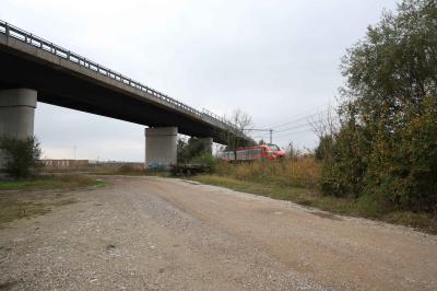 CAVALCAVIA CISPADANA AMMALORATO