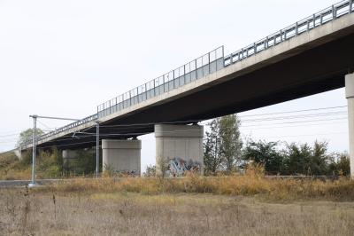 CAVALCAVIA CISPADANA AMMALORATO