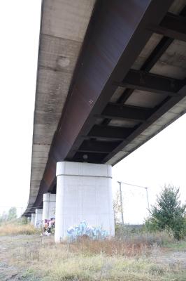 CAVALCAVIA CISPADANA AMMALORATO