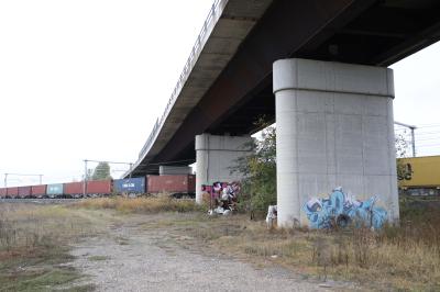 CAVALCAVIA CISPADANA AMMALORATO