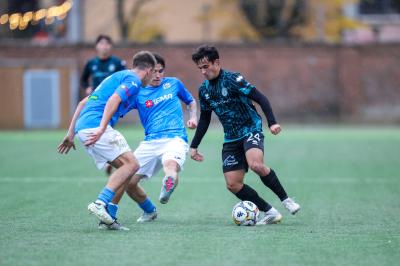 MEZZOLARA - SPAL ARS ET LABOR