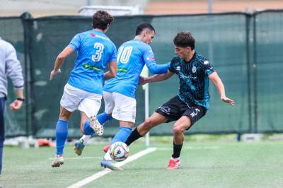 MEZZOLARA - SPAL ARS ET LABOR