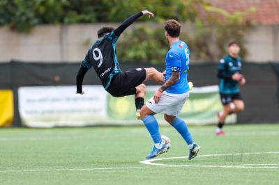 MEZZOLARA - SPAL ARS ET LABOR