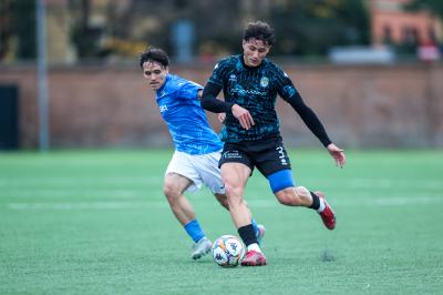 MEZZOLARA - SPAL ARS ET LABOR