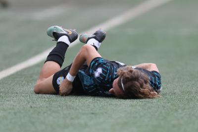 MEZZOLARA - SPAL ARS ET LABOR